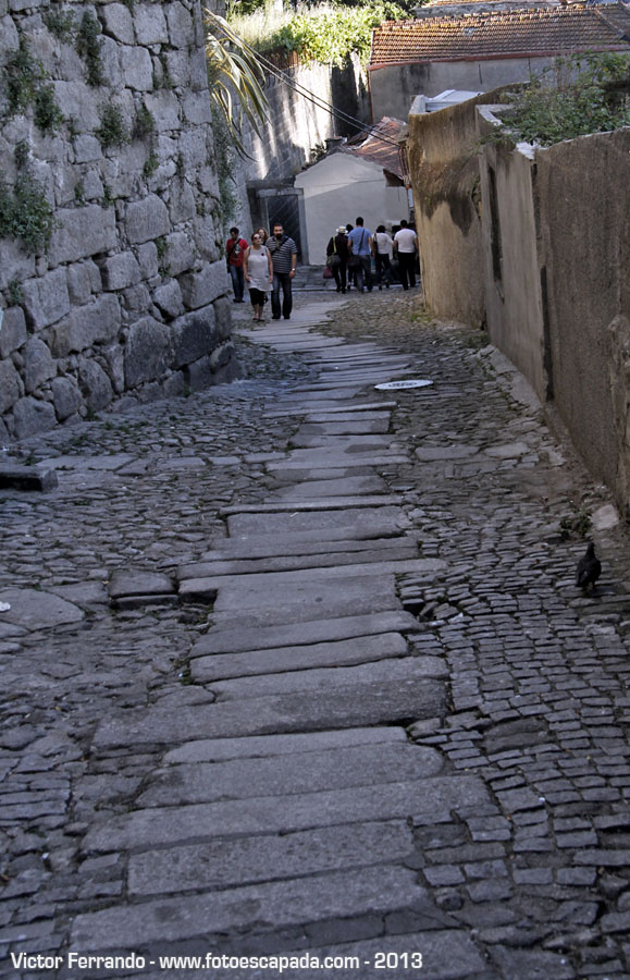 Escadas do Codeçal Viviendo bajo un puente en Oporto