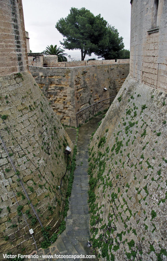 Castell de Bellver en Palma de Mallorca