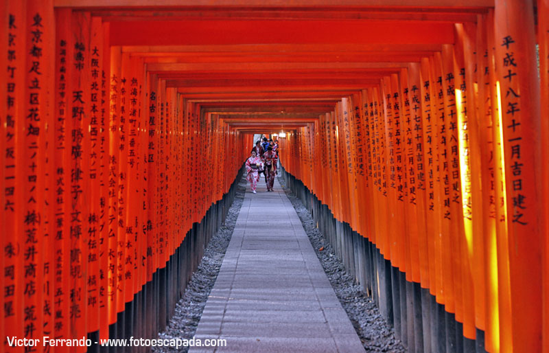 Fushimi Inari Japon