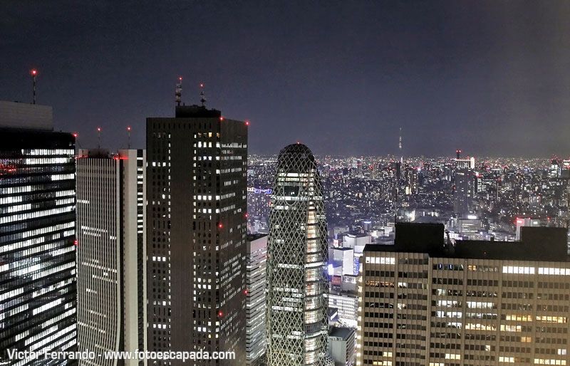 Skyline de Tokyo por la noche