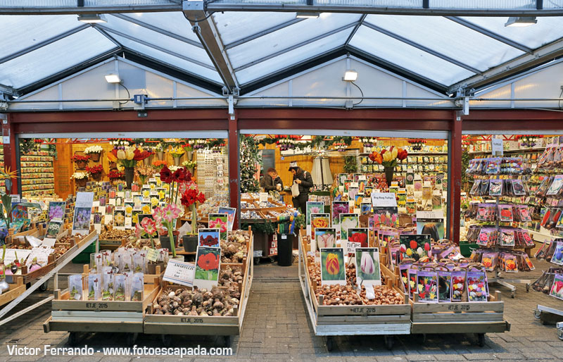 Mercado de las Flores de Ámsterdam