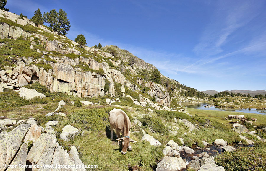 Rutas de Senderismo en Andorra: Los lagos de Pessons