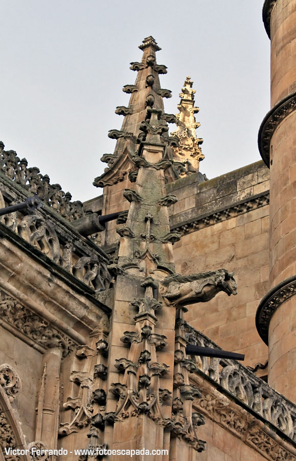 Qué ver en Salamanca