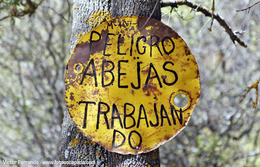 Pontón de la Oliva Madrid