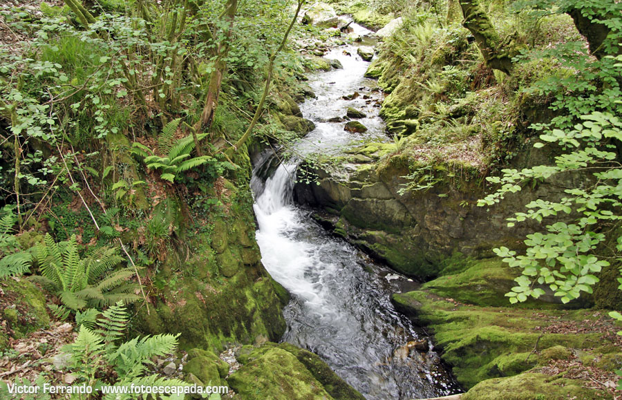 Valle del Río Infierno y Espinaredo Valle del Río Infierno y Espinaredo