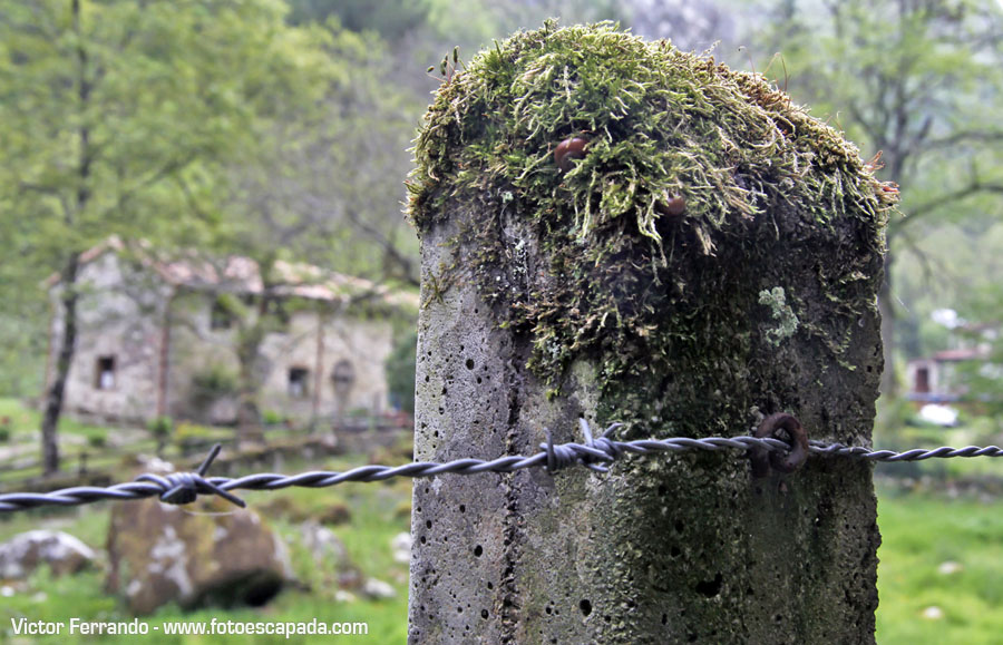 Valle del Río Infierno y Espinaredo Valle del Río Infierno y Espinaredo