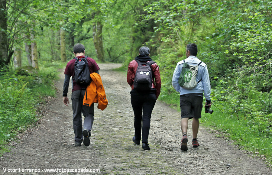 Valle del Río Infierno y Espinaredo Valle del Río Infierno y Espinaredo
