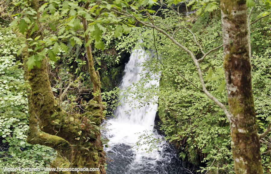 Valle del Río Infierno y Espinaredo Valle del Río Infierno y Espinaredo