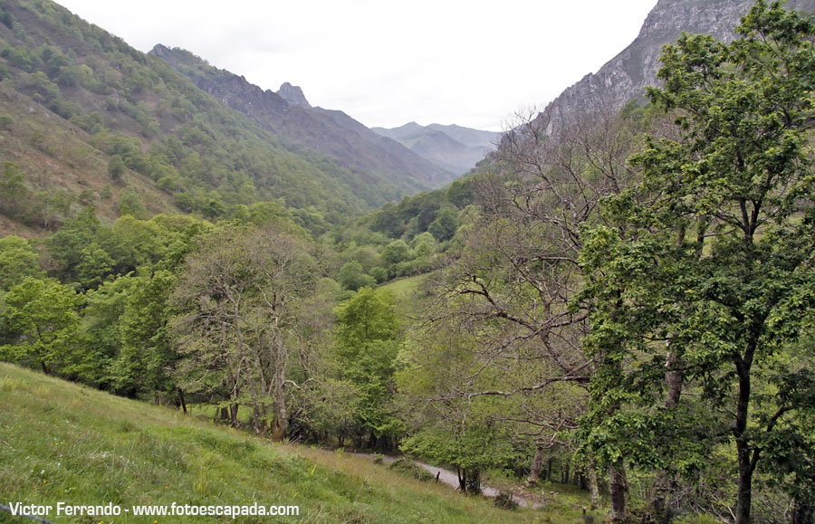 Valle del Río Infierno y Espinaredo Valle del Río Infierno y Espinaredo