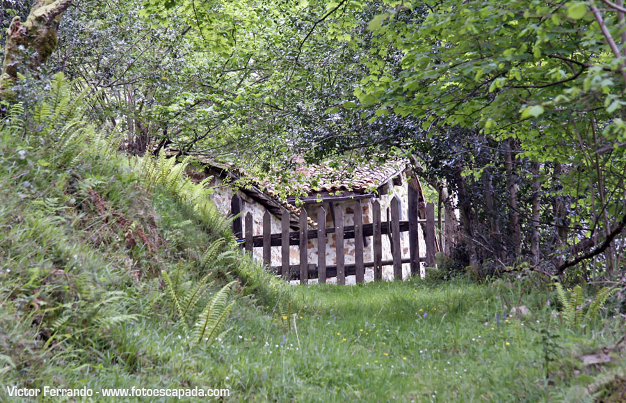 Valle del Río Infierno y Espinaredo Valle del Río Infierno y Espinaredo