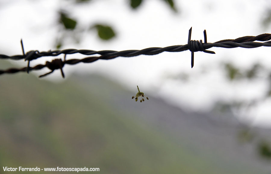 Valle del Río Infierno y Espinaredo Valle del Río Infierno y Espinaredo