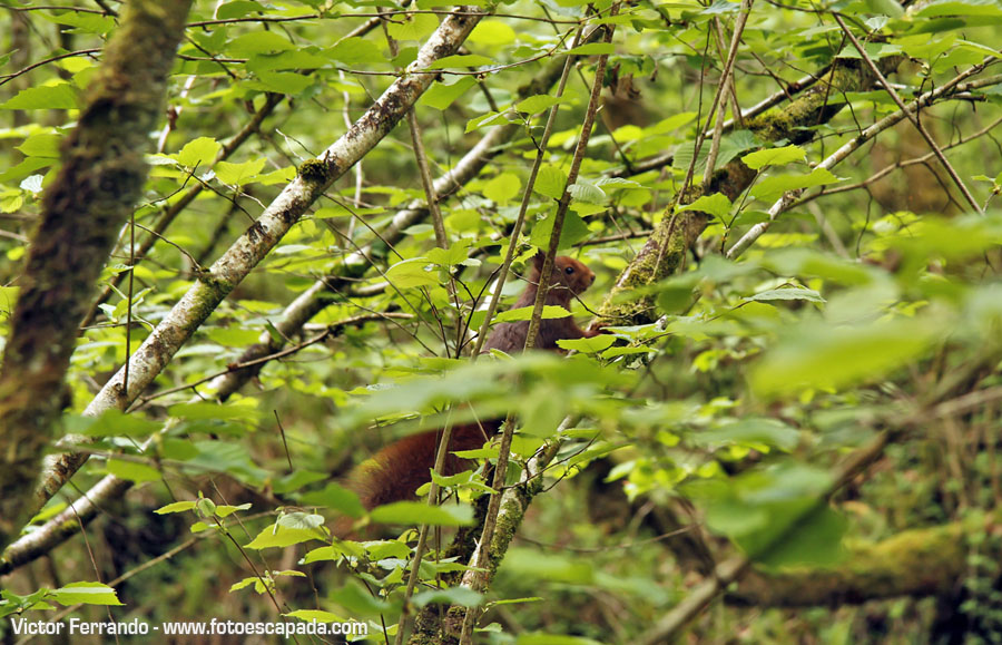 Valle del Río Infierno y Espinaredo Valle del Río Infierno y Espinaredo