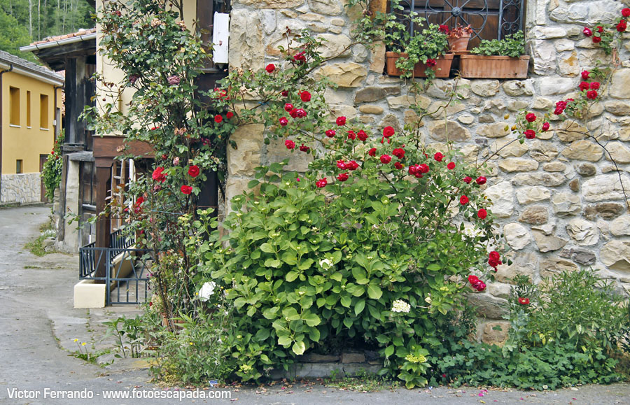 Valle del Río Infierno y Espinaredo Valle del Río Infierno y Espinaredo