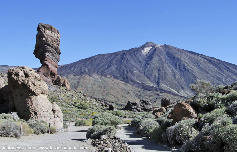 Parque Nacional del Teide 18