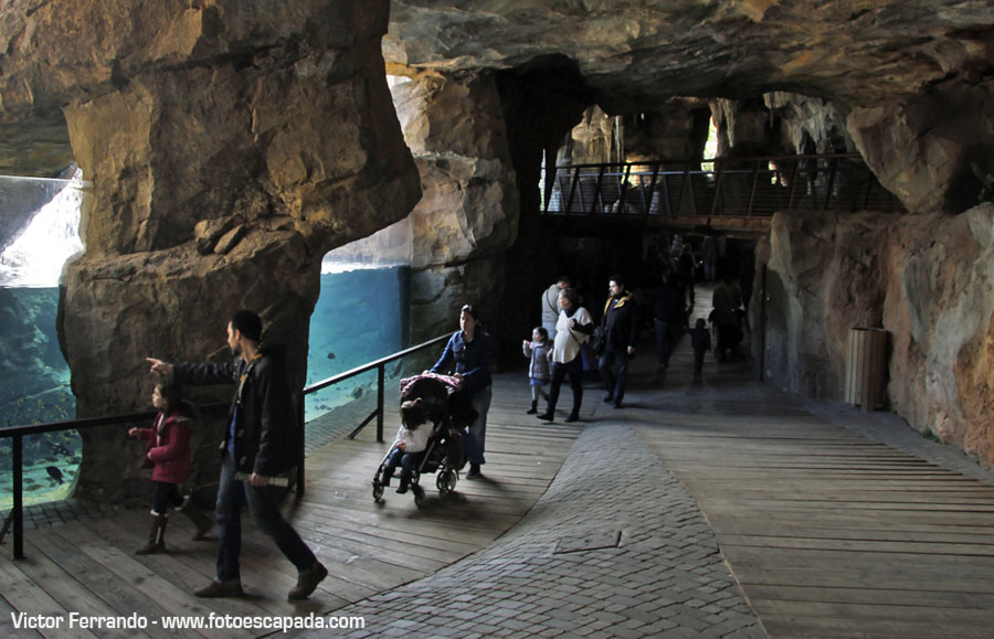 La Cueva de Kitum en Bioparc Valencia
