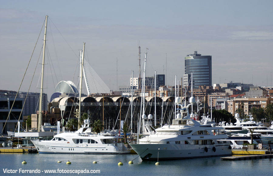 Motivos para visitar Valencia: Pasear por el Puerto de Valencia