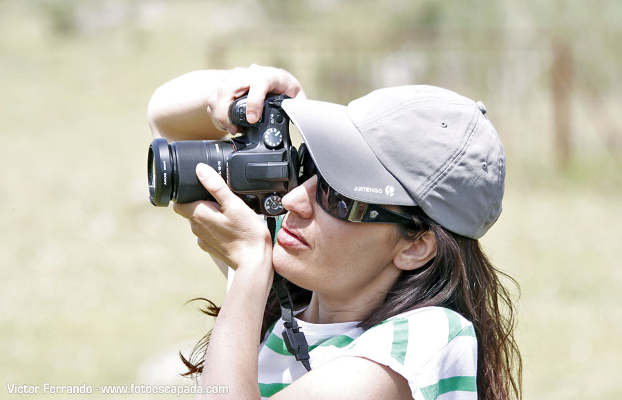 Fotografos en el Safari fotográfico por el Valle del Ambroz