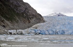 Laguna y Glaciar San Rafael Patagonia Chilena Enero Diciembre 2017